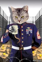 CyberWarfare